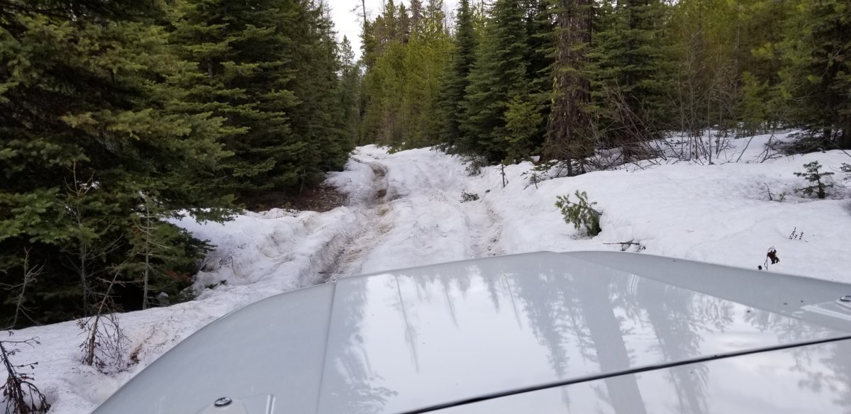 20190503_161654.jpg