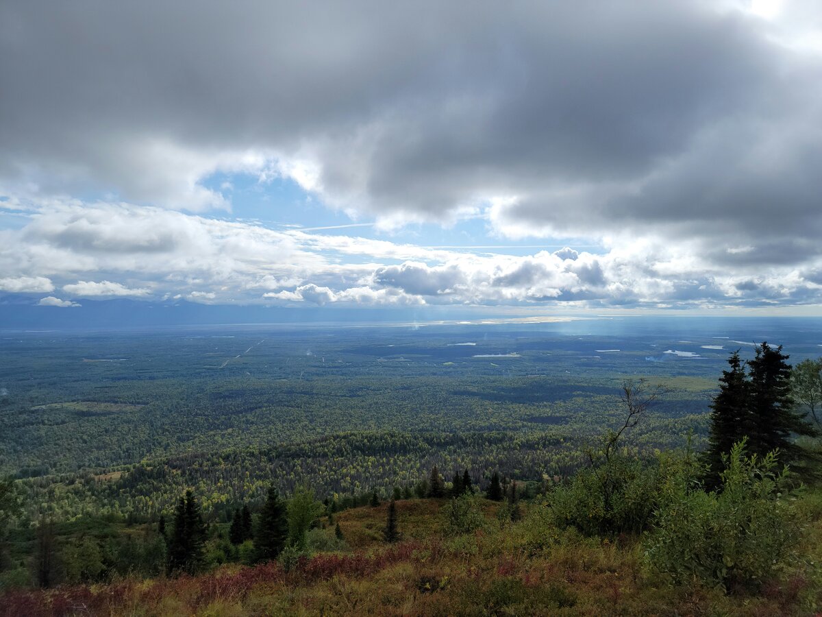 20210906_150345.jpg