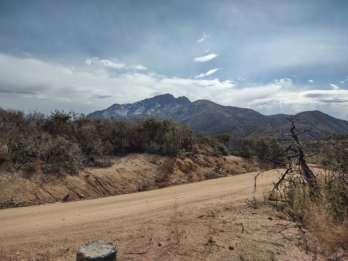 IMG_20220122_130457981_HDR.jpg