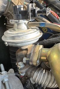 IMG_4260.jpeg