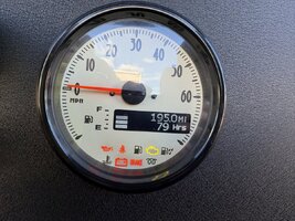 IMG_3845.JPEG