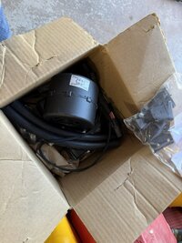 IMG_3852.JPEG