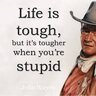 TRUE_GRIT