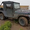 Plainsman